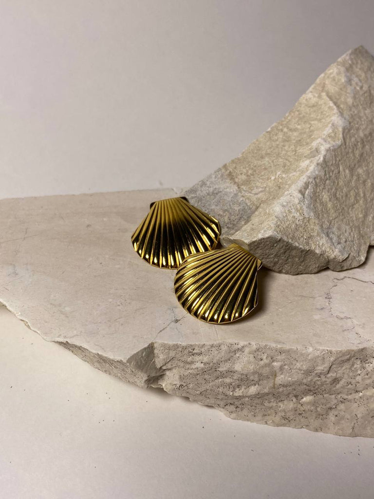 Shell shaped earrings - White Store Armenia
